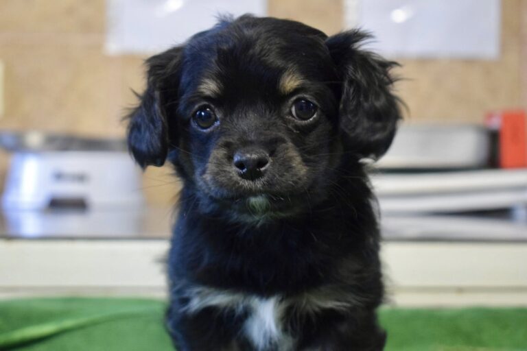 593585727_4134759260107211_3973307054633393610_n