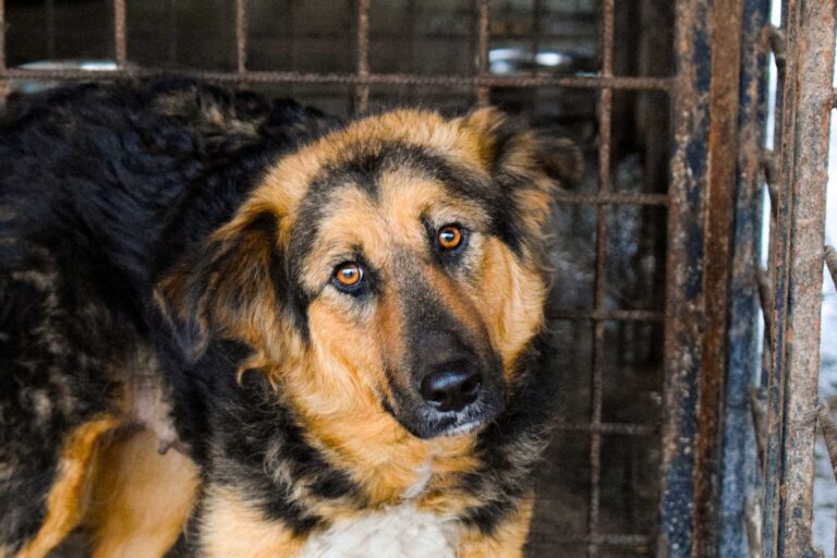 593587406_4134757530107384_124499320955625046_n