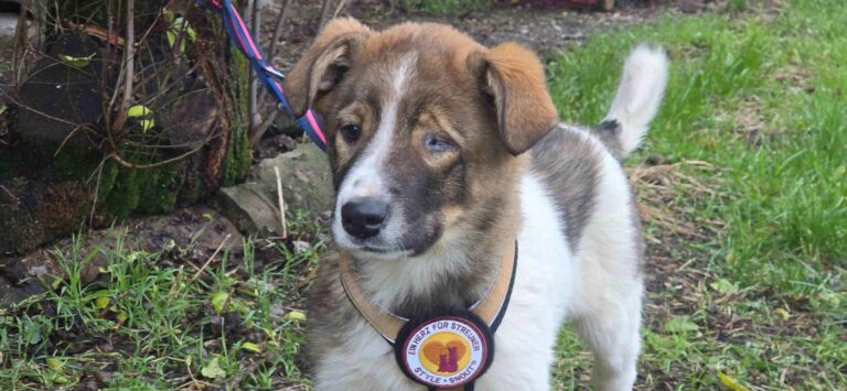 594285260_3335238973305055_6487385151110345653_n