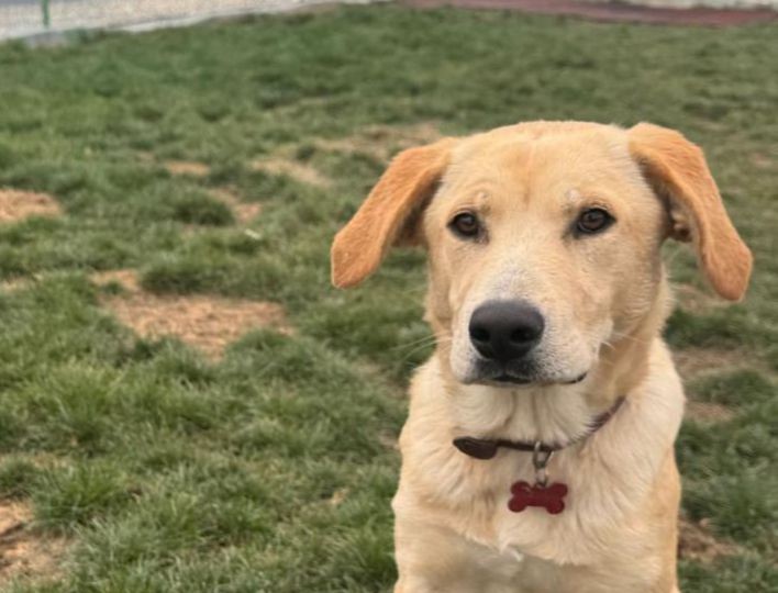 597021643_25528694146763068_6511877763882905331_n