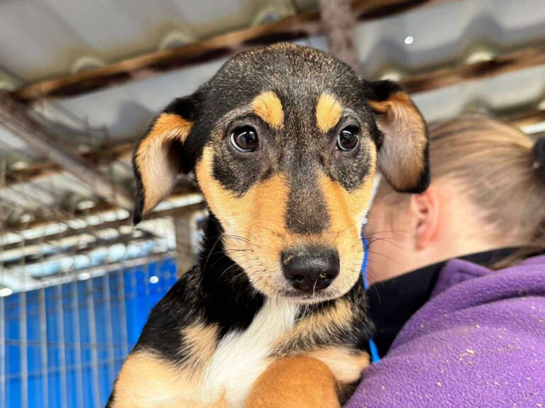 597173957_26151840891069560_2176167466347558349_n