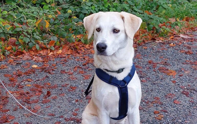 597237461_675910695458127_7369892033142156254_n