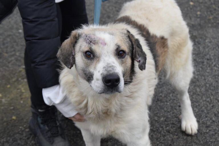 599623586_4143964855853318_8594084515996262142_n