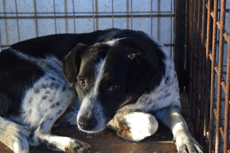 599927655_4143963075853496_2534652662139867056_n