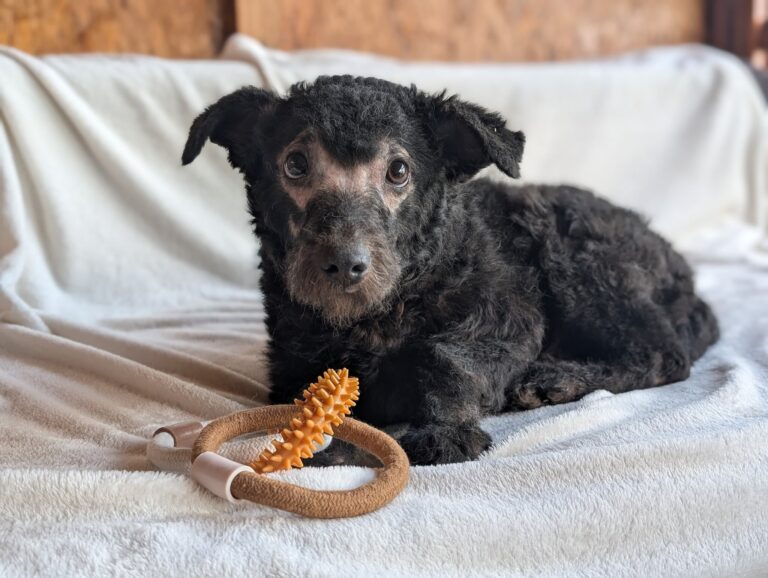 599929070_3203348763176571_7565714233854852819_n