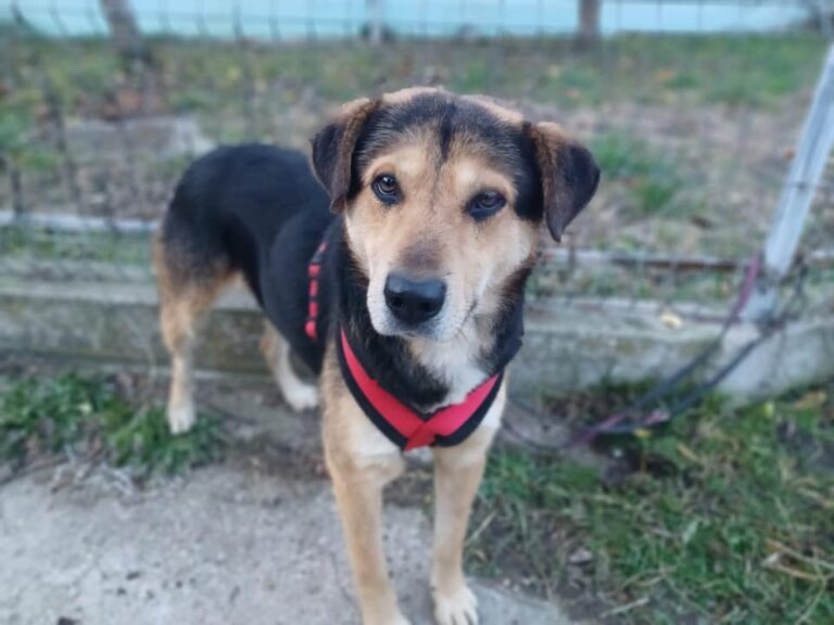 599933037_10240719009496512_8691515812783362903_n