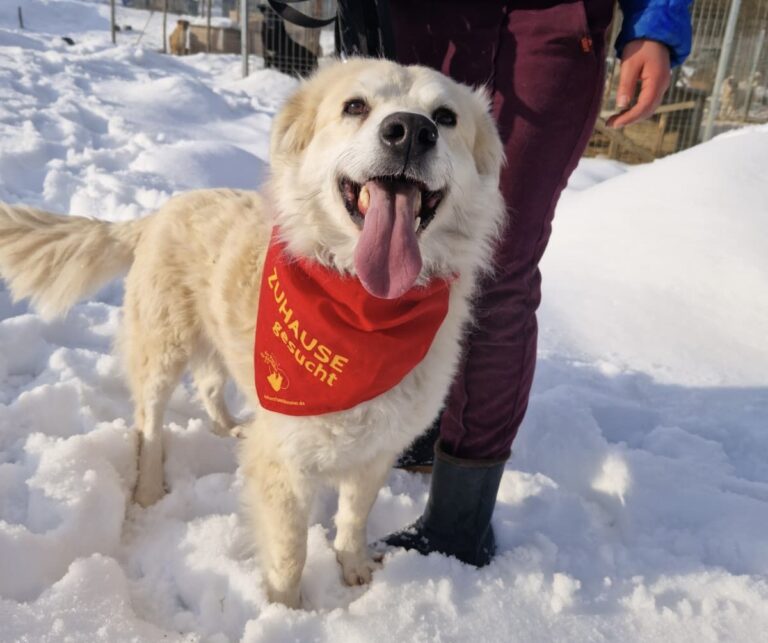 5c11714b-a8e5-4302-8ab4-c7dd0d3b53de