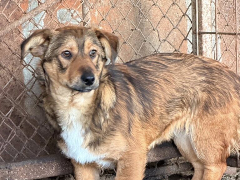 600276813_25498473456456971_6904864096902418202_n