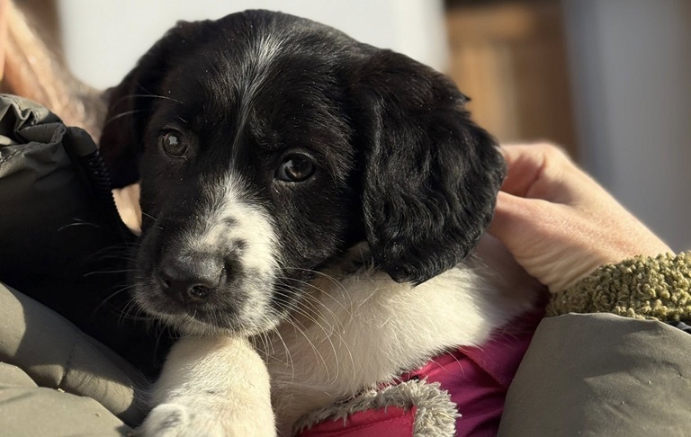 600285321_2582705472100385_5007693825132992640_n