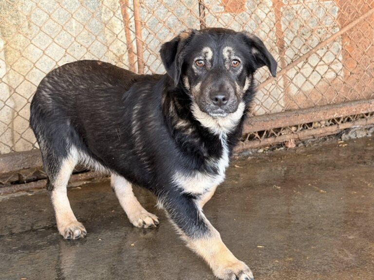 600295527_25498467139790936_9104965979746169804_n