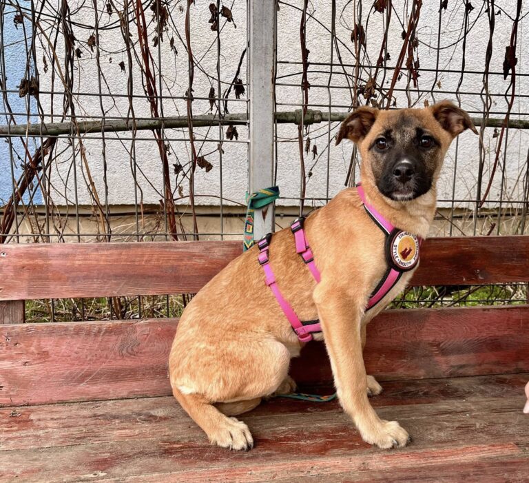 600299655_10240685382175850_5135204050425944732_n