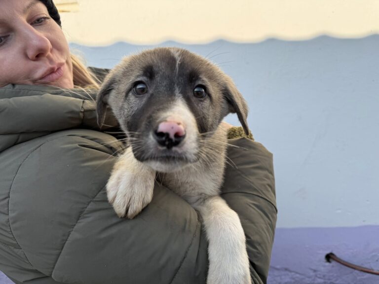 600335459_2585824535121812_7209719198729235351_n