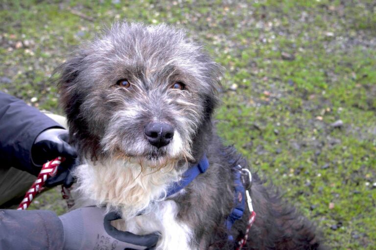 600338432_26274942018759446_5758872176221965777_n