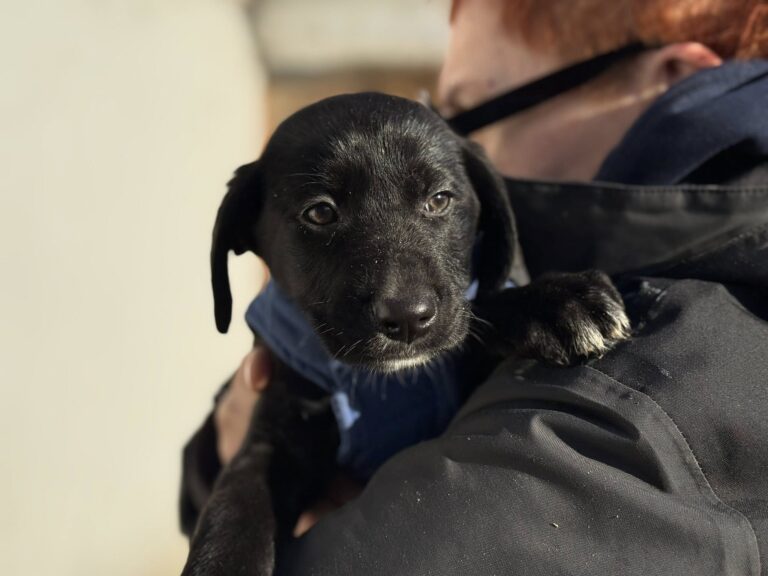 600374568_2582700382100894_2941149447490225239_n