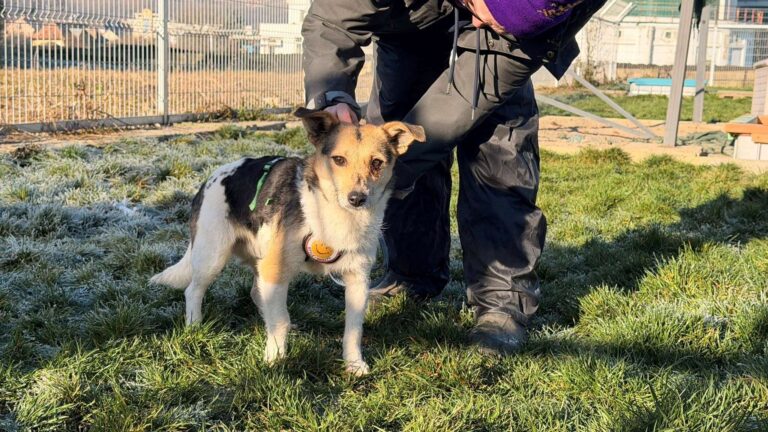 600432659_25498376683133315_8695639240425270648_n