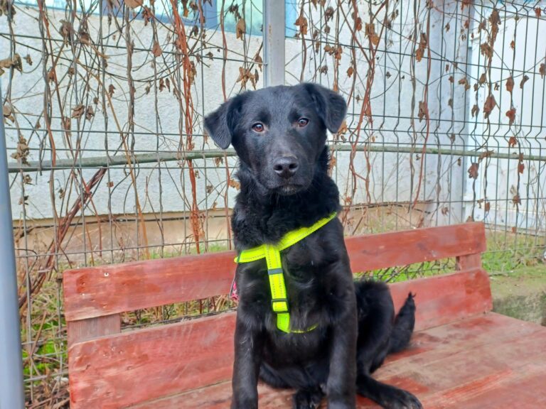 600437568_10240685113089123_8765687599194810404_n