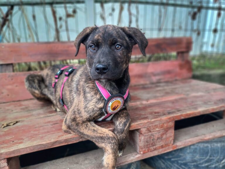 600488693_10240685024806916_410663566956647754_n