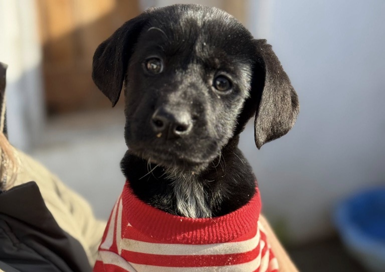 601369085_2582698802101052_5949961456370503029_n