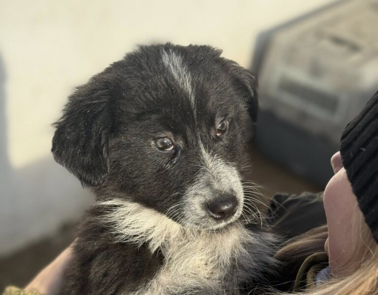 601850960_2585818661789066_4690991828623591584_n