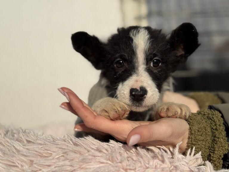 602012168_2585810888456510_4302508735562767434_n