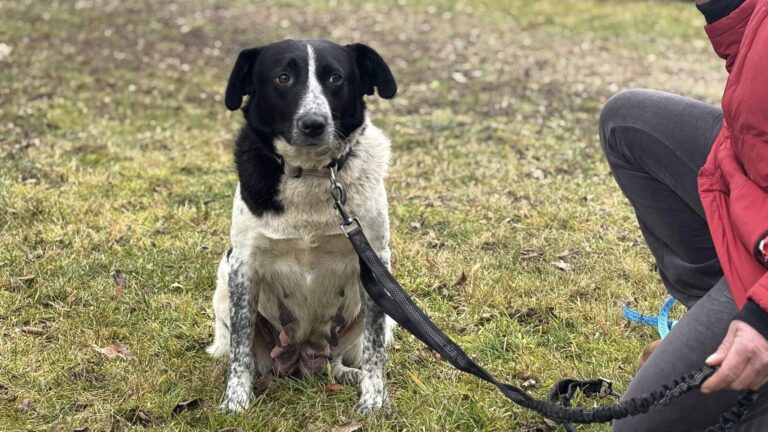 602014749_122223976442122691_1934809559250236227_n