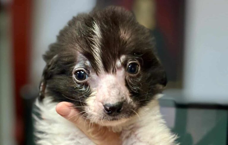 602462725_122155819394712445_6990344146736895123_n