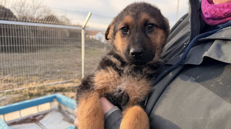 602916474_25506324285671888_8169378867572429076_n