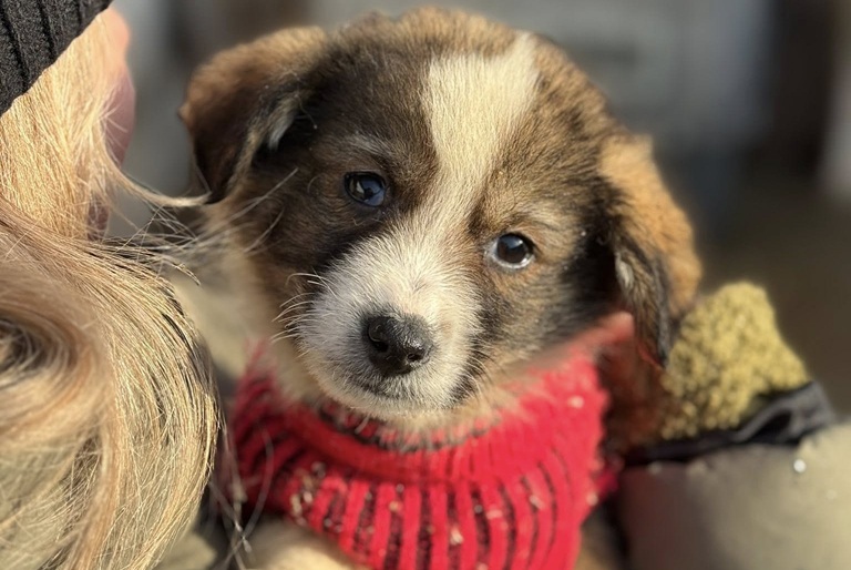 603010782_2585813721789560_1482621351479058778_n