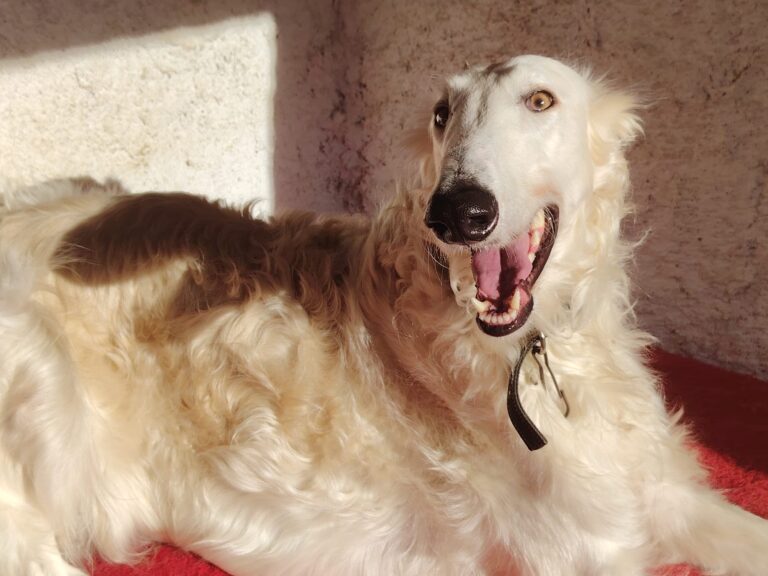 603865773_10240761701883795_2776074984208974783_n