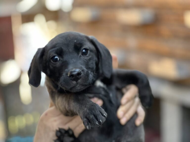 603904955_25332036673112887_1159889790887094118_n