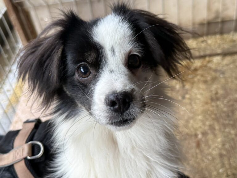 603916457_26260562230197425_2107766930765537774_n