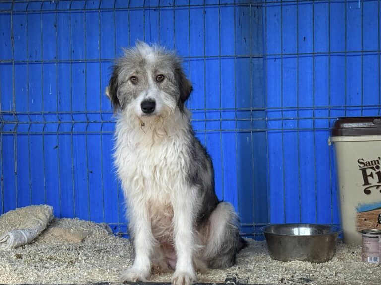 603923871_26270633422523639_831201140513925494_n