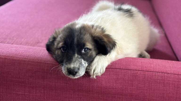 604751949_122224550324122691_6202600896598924784_n