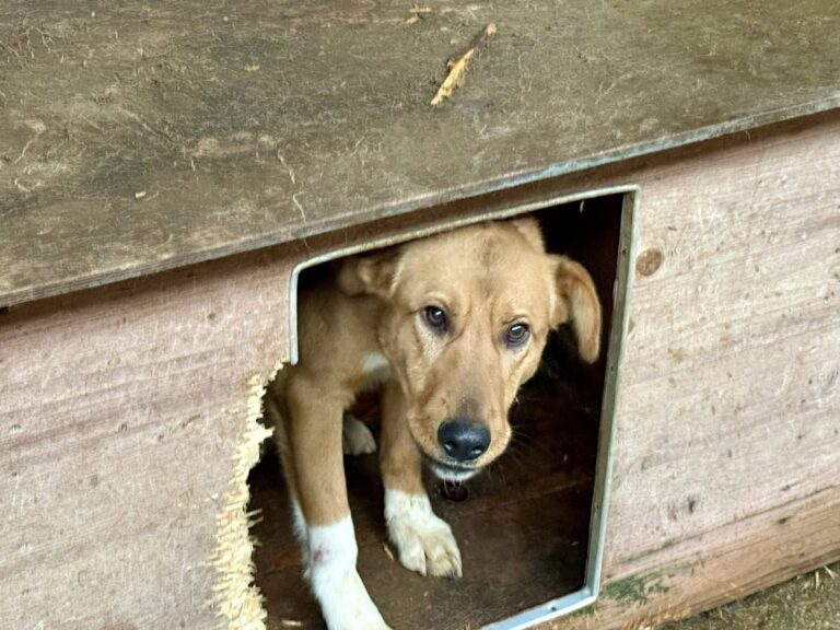 604800832_26270588449194803_6467887497104399510_n