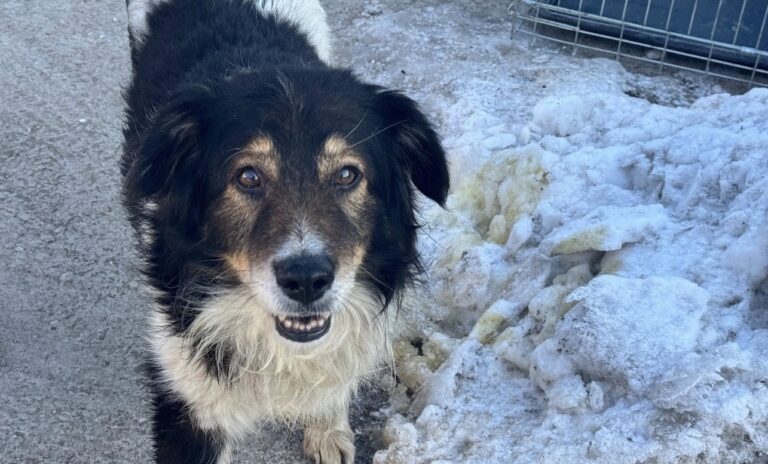 617808791_25959284250379146_2087000534631842227_n