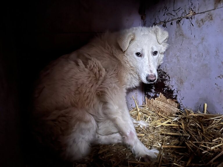 629501721_10241429142689398_5306044392510029931_n