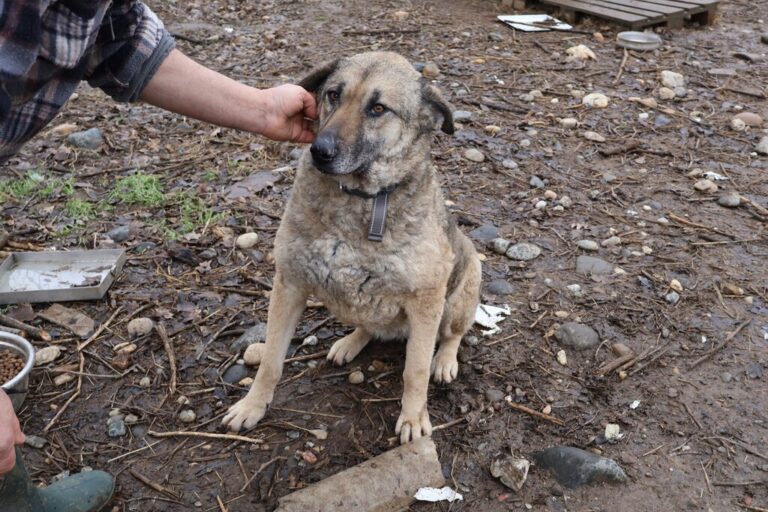 630582119_1242715331151281_7077227239640284675_n