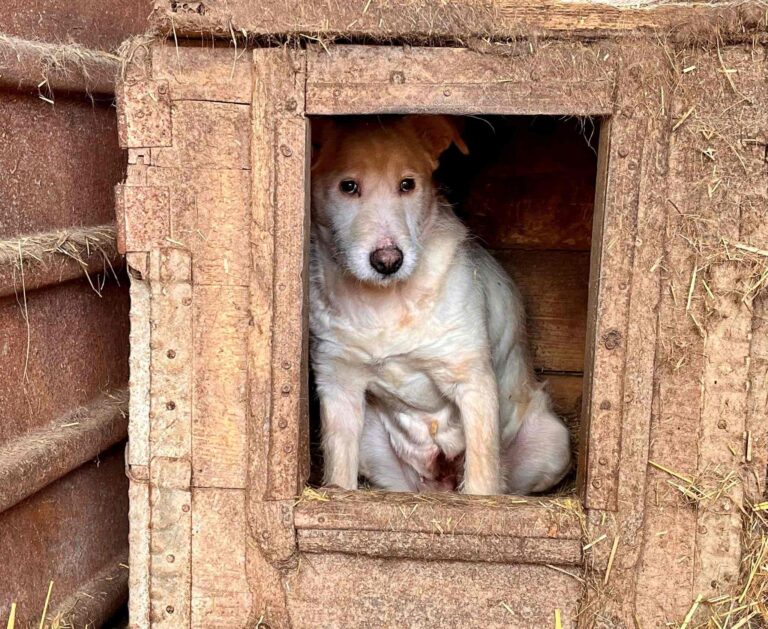 637424543_10241588796760650_2820754539355652085_n