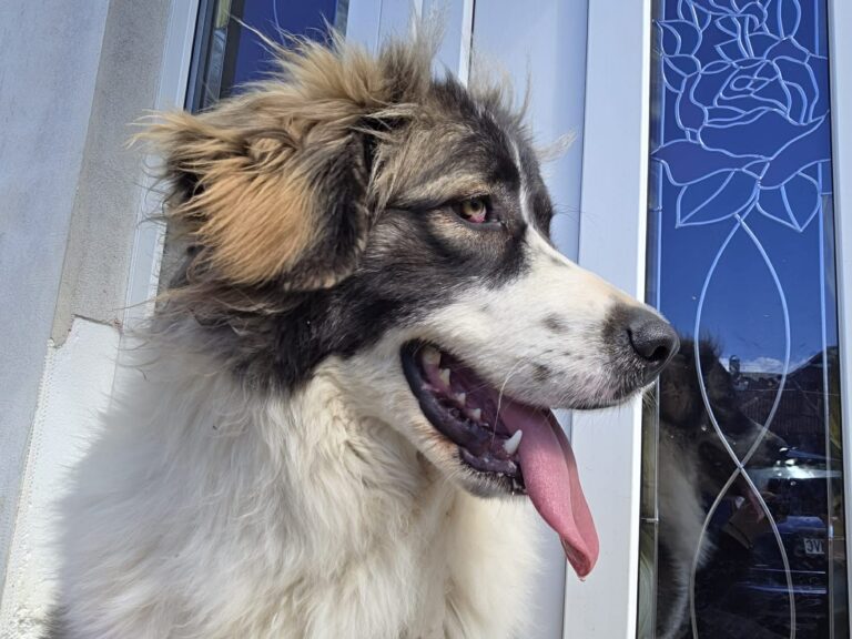 664111890_1940399209917382_3746159547593186468_n