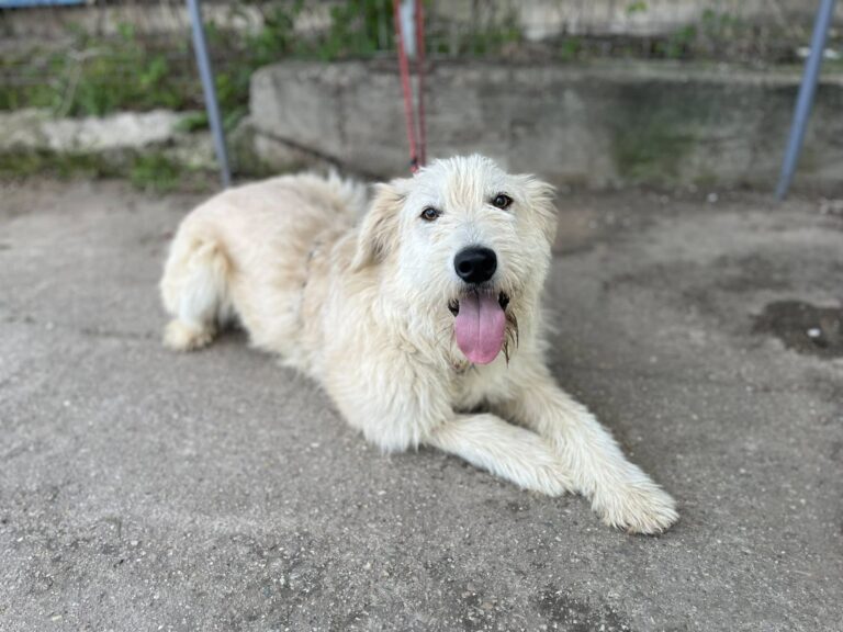 671228076_10242527560109147_5754193862572911759_n