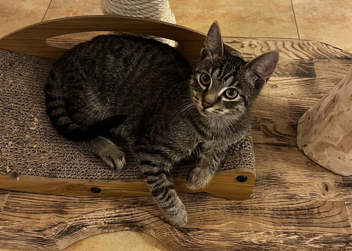 692f9a17-8c02-4465-bbac-db970b940480