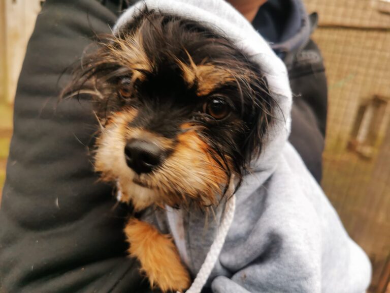 6ee215ac-7f22-4ff9-9f54-2bd840d93110