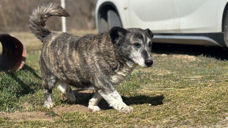 7009af24-0656-4930-88d2-b078eb633673