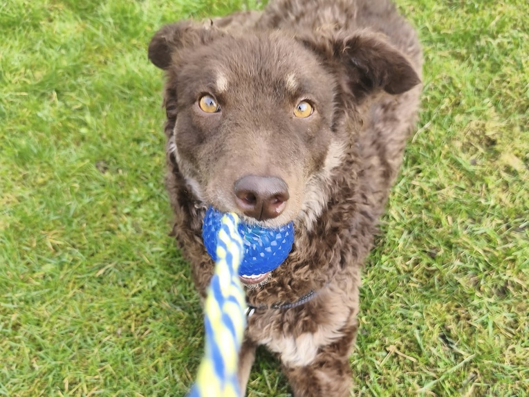 709acbf2-7c8c-4cc3-9068-64b79a5d31b8