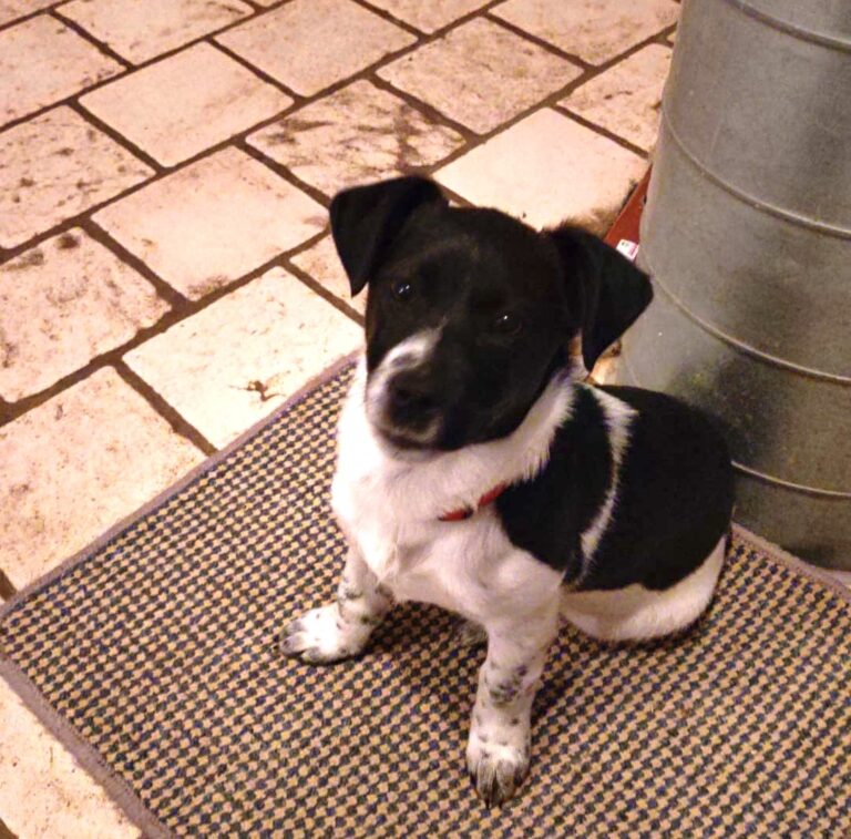 72c09c8b-2d3d-4b8d-a318-79ae26a72f7a