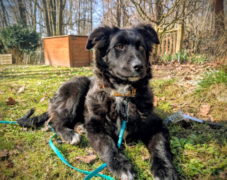 78fb7c08-d2b0-4445-86fe-227cc35ea9ff