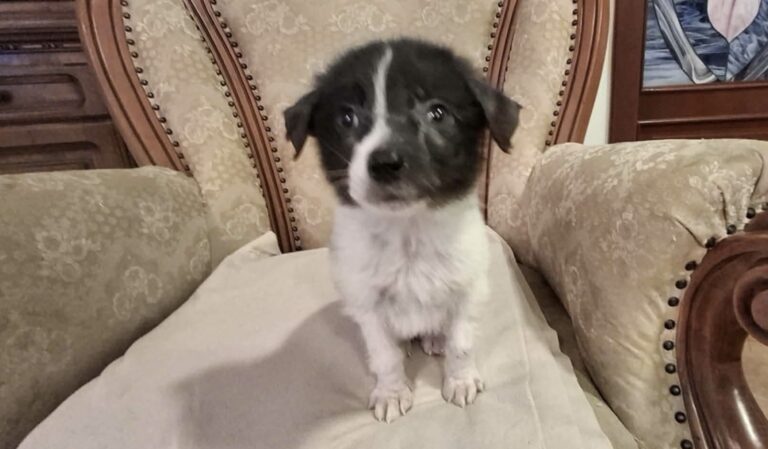 7c971e075e163519aba3640da727effe