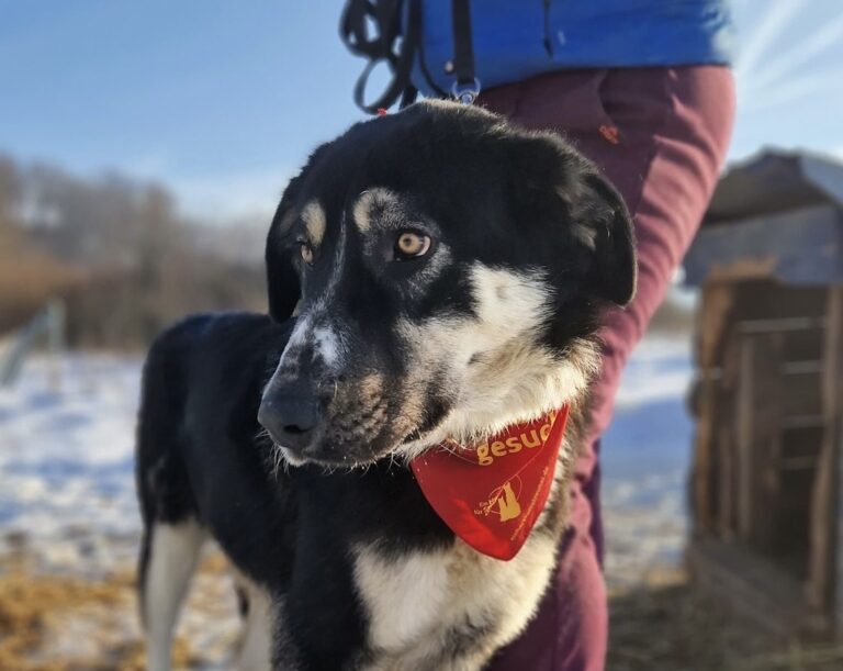 81c74db0-7bab-4c04-942e-c6d22f7eb09a