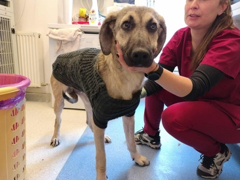 88810F08-37B0-4A27-ADA0-47D45ED75EF5_4_5005_c