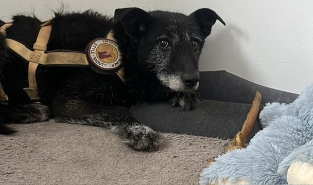 AEE3CA97-3708-4DE0-8D99-432096A1E503_4_5005_c